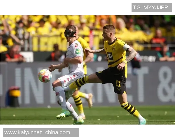 多特蒙德与美因茨精彩对决录像回放全程分析与精彩瞬间集锦